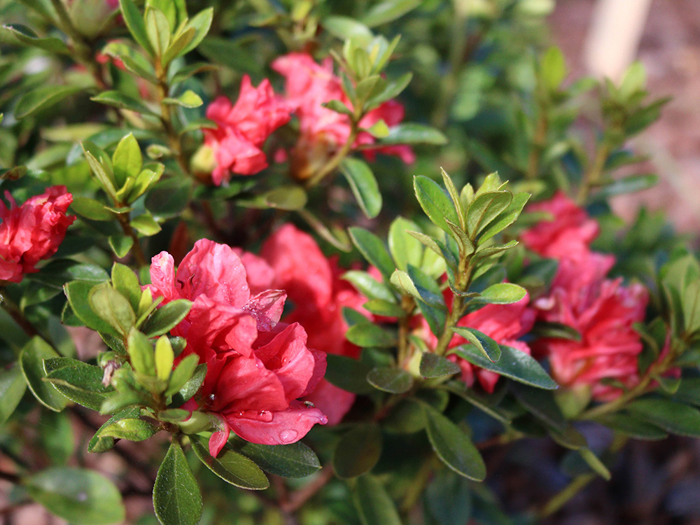 best location in central florida