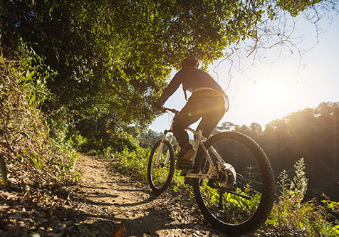 Carter Road Loyce E. Harpe Park